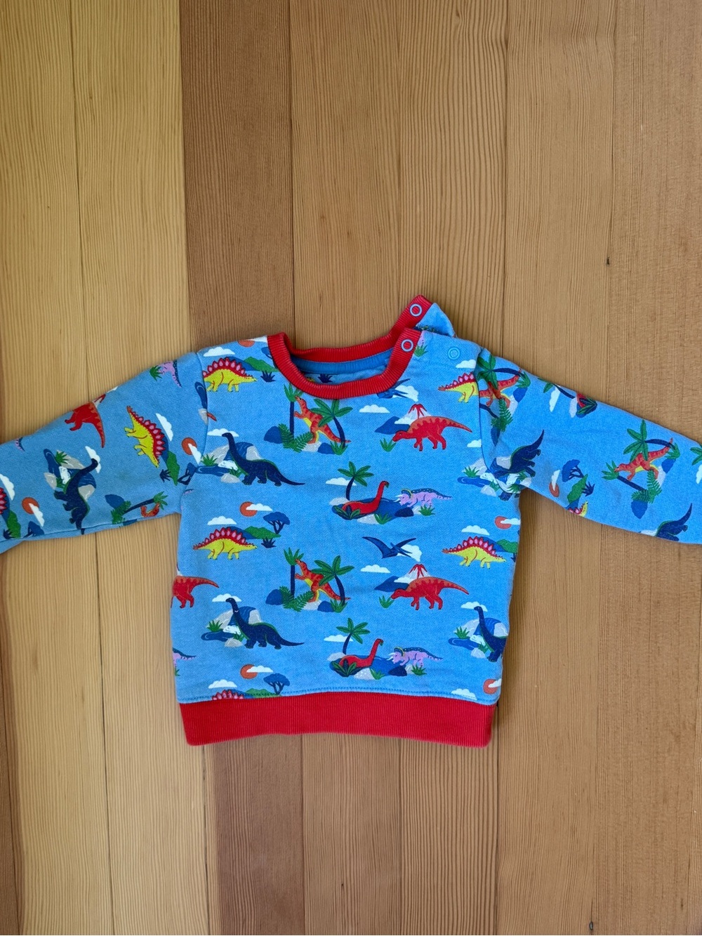Baby Boden Blue Dinosaur Print Sweatshirt with Red Trim